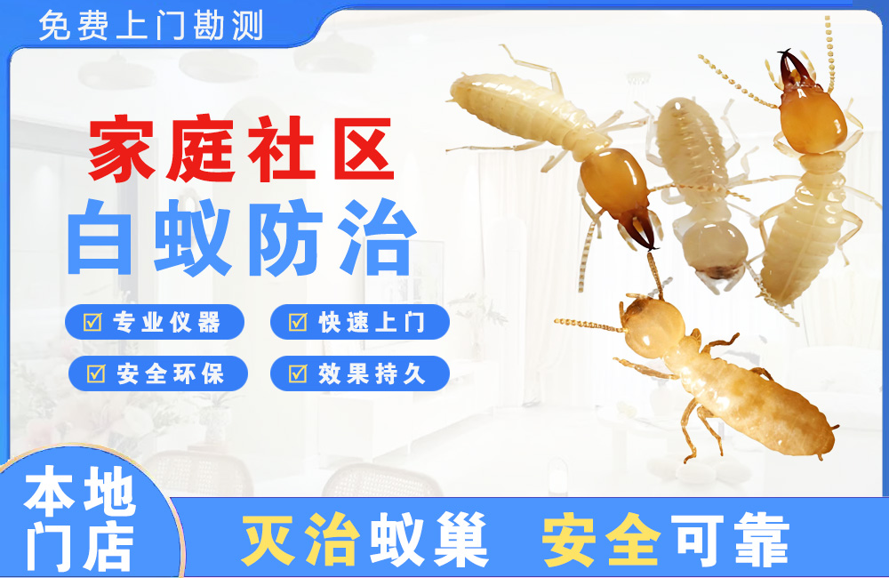 黄石家庭社区白蚁防治