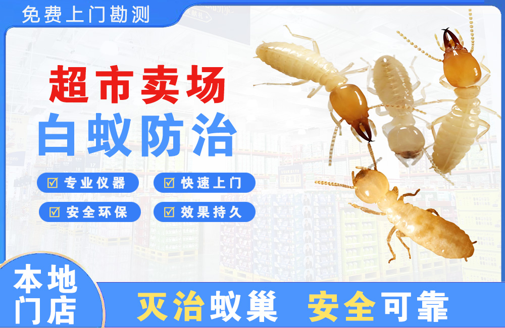 黄石超市卖场白蚁防治
