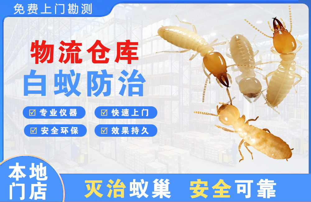 黄石物流仓库白蚁防治
