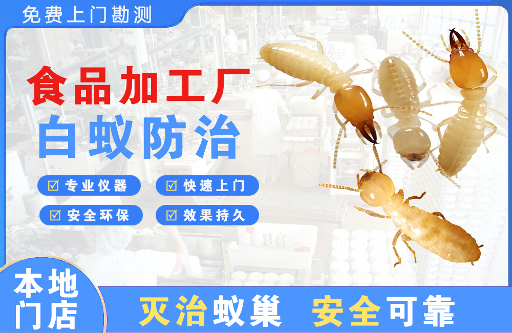 黄石食品加工厂白蚁防治