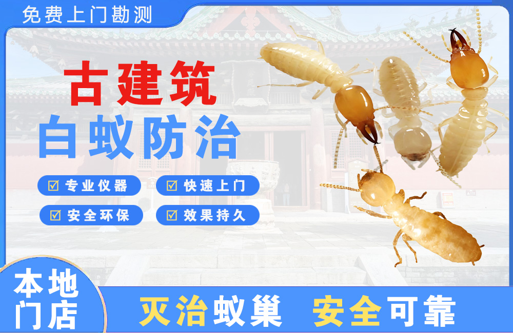 黄石古建筑白蚁防治