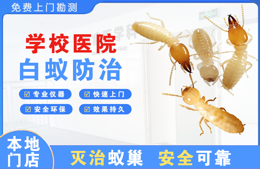黄石学校医院白蚁防治