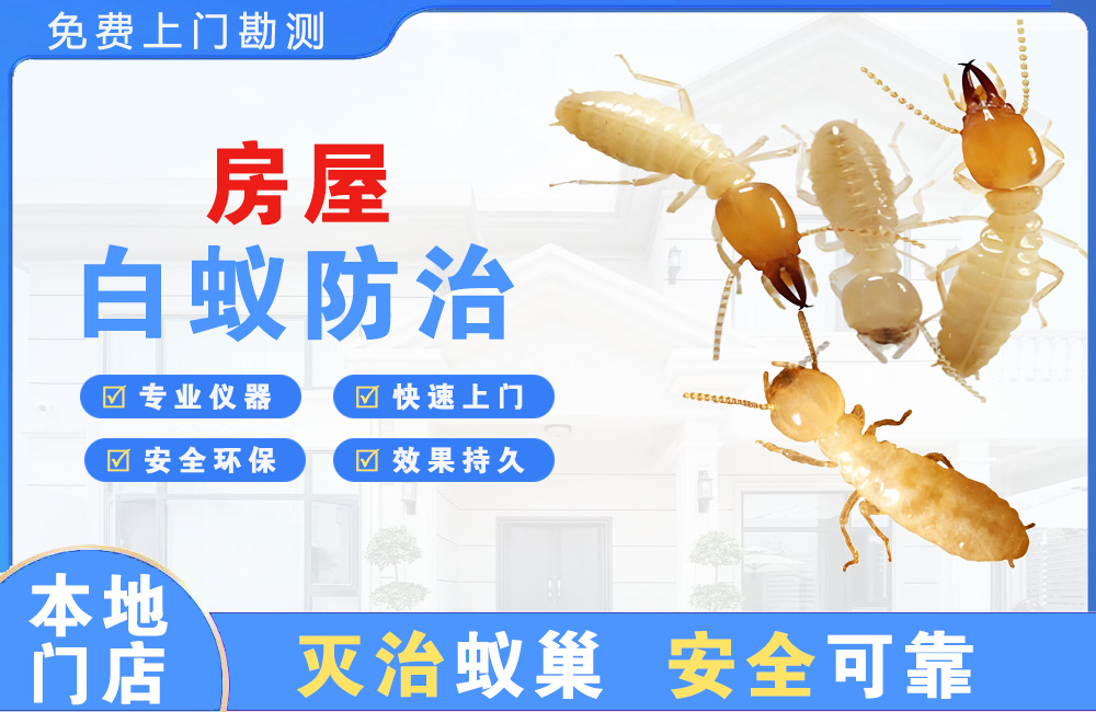 黄石房屋白蚁防治