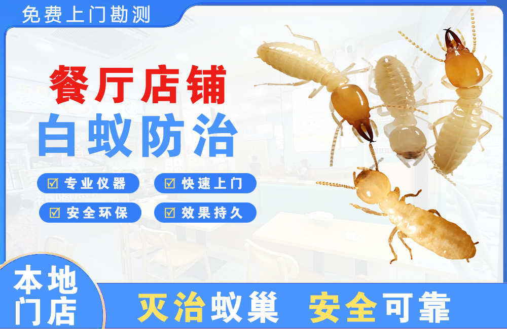 黄石餐厅店铺白蚁防治